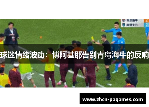 球迷情绪波动:博阿基耶告别青岛海牛的反响 球迷情绪波动:博阿基耶告别青岛海牛的反响